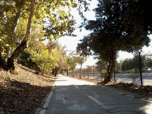 The Arroyo Seco river bike path to Los Angeles from Pasadena. Quite scenic in some spots, such as this one. And, as you can see, not too crowded for an ideal city run or bike ride.